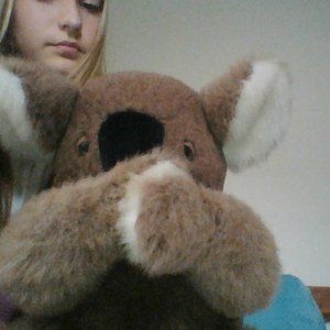 teddy bear